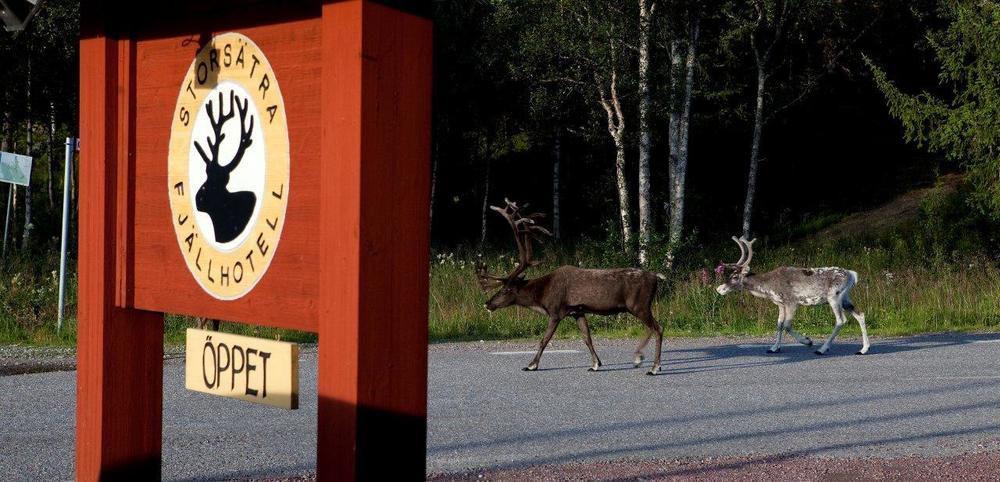 Storsaetra Fjaellhotell Grövelsjön Exteriér fotografie
