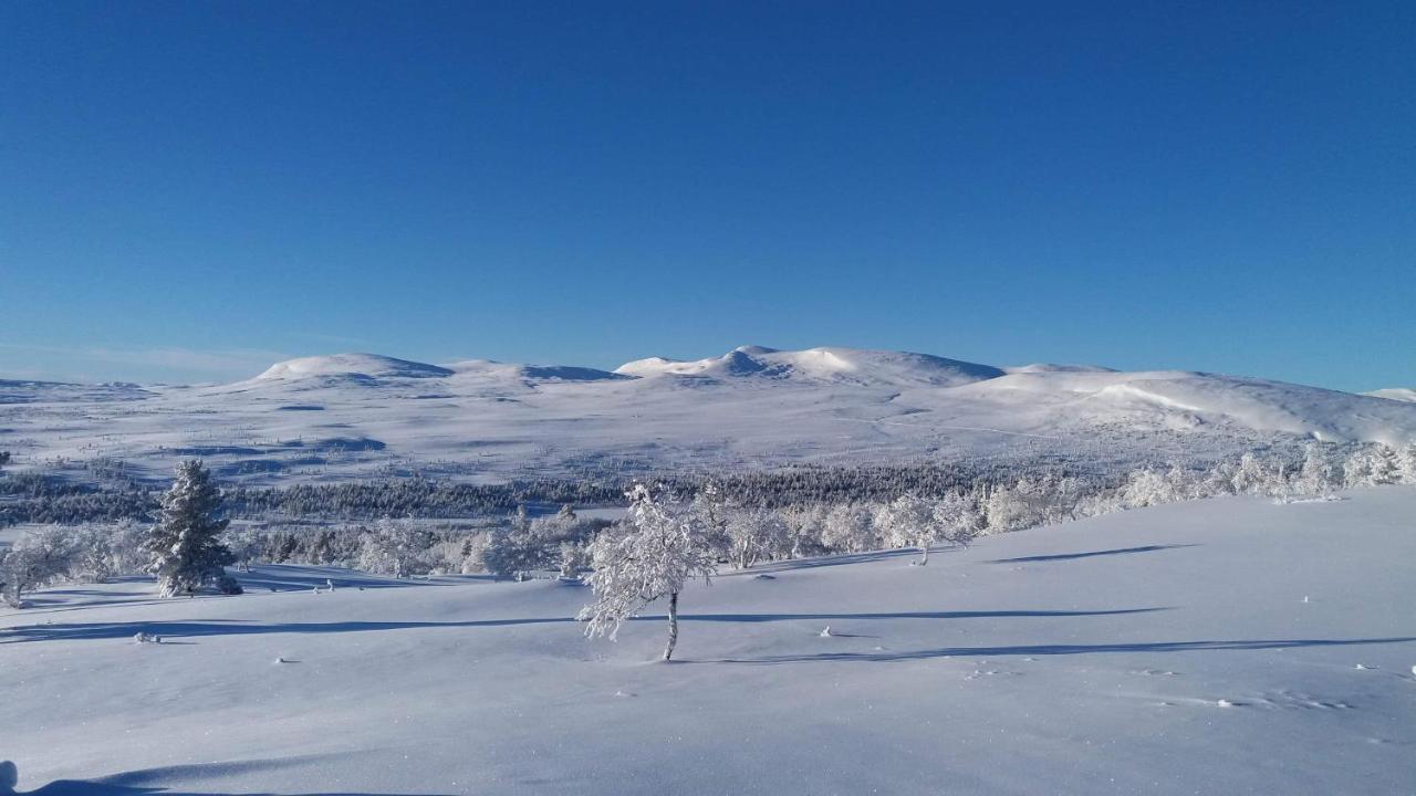Storsaetra Fjaellhotell Grövelsjön Exteriér fotografie